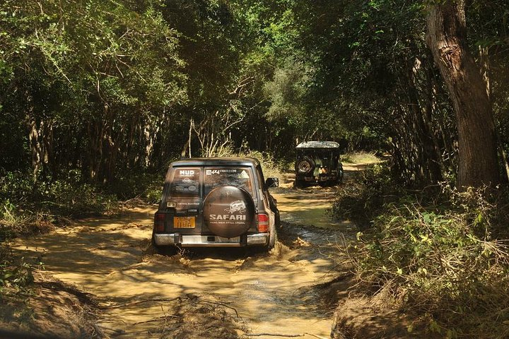 Afternoon Safari to Wilpattu National Park - Photo 1 of 8
